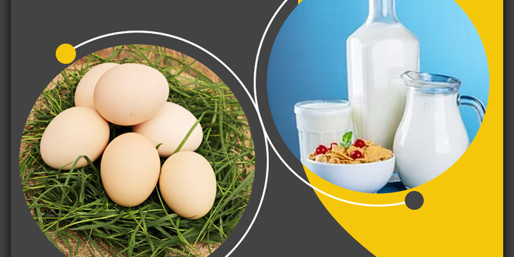 Raw Egg in milk Health Benefits of in Hindi कच्चा अंडा दूध में मिलाकर पीने के 5 फायदे, जानें