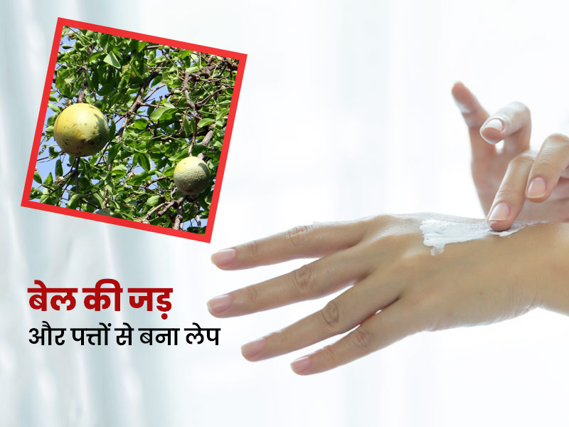 बेल की जड़ हो या पत्ते, इससे बना लेप दूर कर सकता है कई समस्याएं