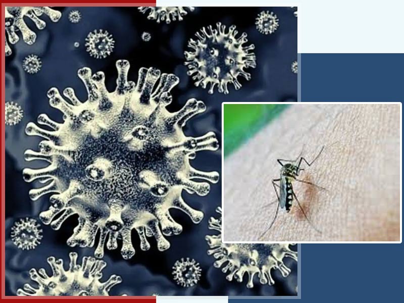 Post Dengue Mucormycosis: Know All About It And The Treatment From Expert