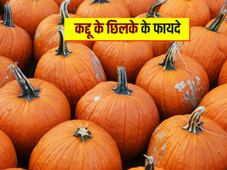 कद्दू के छिलकों को फेंकने के बजाय बनाएं ये 5 टेस्टी रेसिपीज, सेहत को भी मिलेंगे ढेर सारे फायदे