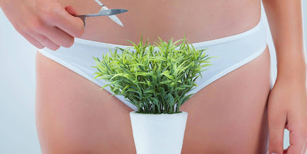 remove pubic hair remove
