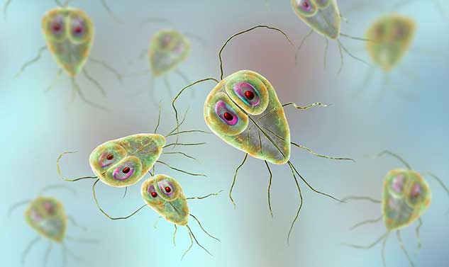 giardiasis