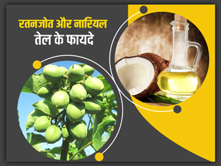 नारियल तेल और रतनजोत का मिश्रण है सेहत के लिए इन 5 तरीकों से उपयोगी, जानें इससे मिलने वाले फायदे