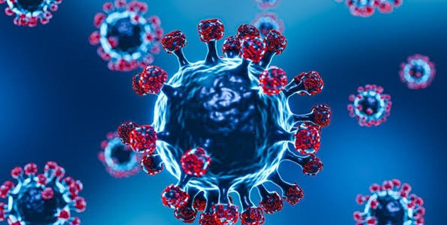 coronavirus