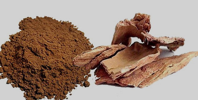 arjun-ki-chaal-and-cinnamon-or-dalchini-benefits-in-hindi