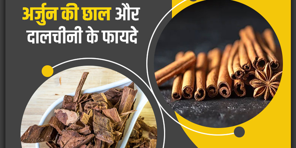 arjun-ki-chaal-and-cinnamon-or-dalchini-benefits-in-hindi