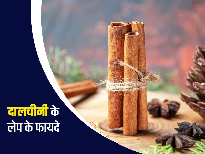 दालचीनी के चूर्ण, पत्ते और तेल से बनाएं आयुर्वेदिक लेप, इसे लगाने से दूर हो सकती हैं आपकी ये 5 समस्याएं