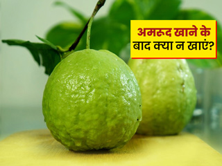 अमरूद खाने के बाद क्या नहीं खाना चाहिए? जानें अमरूद खाने से जुड़े ऐसे कुछ सवालों के जवाब