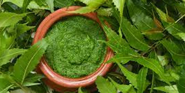 aloe-vera-neem