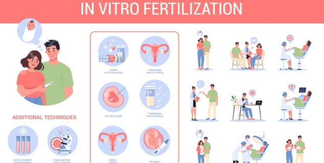 Which Season Is Best for IVF Treatment