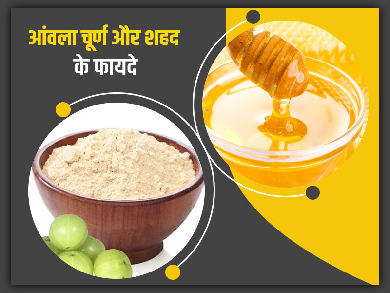 आंवला चूर्ण में शहद मिलाकर खाने से सेहत को मिलते हैं ये 5 फायदे, जानें इस्तेमाल का तरीका