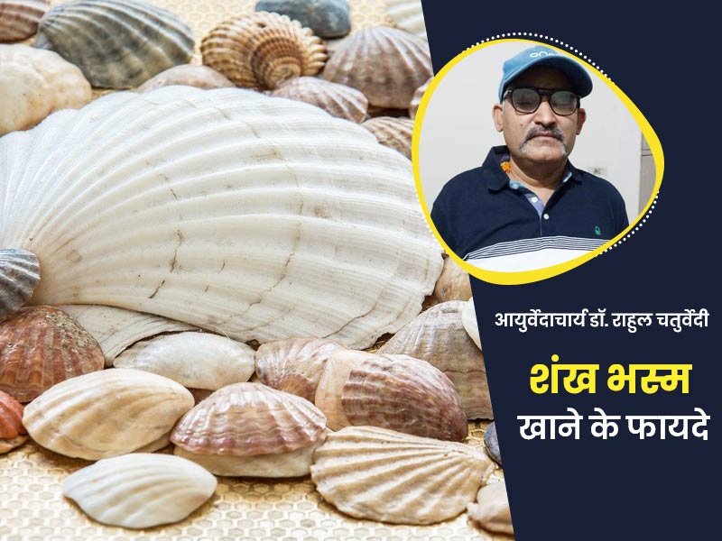 शंख भस्म खाने से सेहत को मिलते हैं ये 5 लाभ, आयुर्वेद एक्सपर्ट से जानें कैसे करें इस्तेमाल