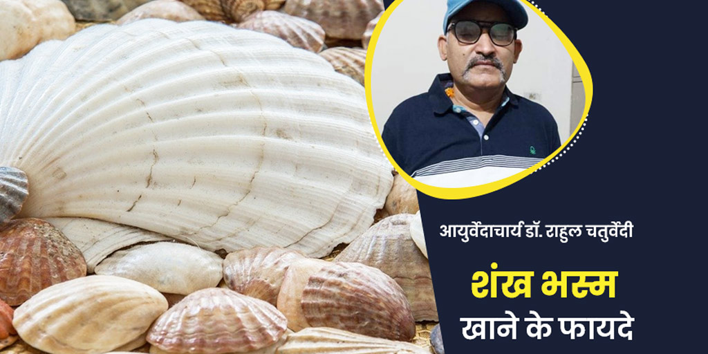 Sea Shell Powder Health Benefits Uses in Hindi शंख भस्म खाने से सेहत को मिलते हैं ये 5 लाभ
