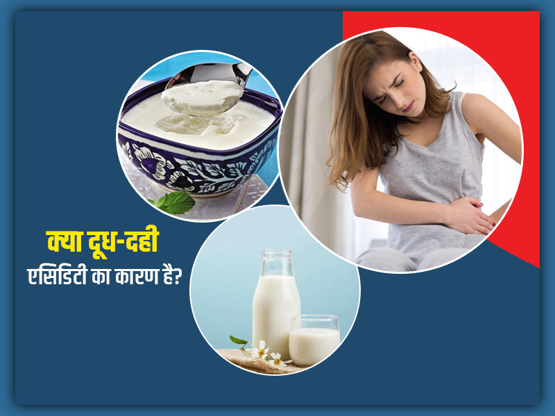 क्या दूध-दही बढ़ाते हैं एसिडिटी की समस्या? डॉक्टर से जानें दूध और दही को आसानी से पचाने के लिए कब करें सेवन