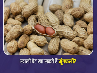 क्या खाली पेट खा सकते हैं मूंगफली? रोज कितनी मूंगफली खाना है सही? एक्सपर्ट से जानें ऐसे 6 सवालों के जवाब