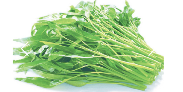 Insidenarikasaagbenefits