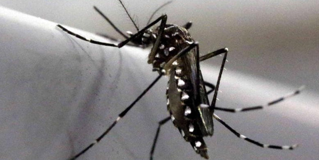 Zika virus outbreak was reported in Kanpur, India