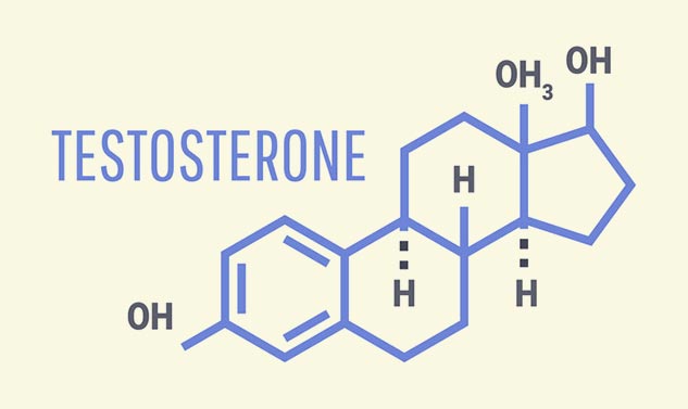 insidetestosterone