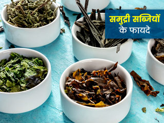 एंटी ऑक्सीडेंट से भरपूर होती हैं समुद्री सब्जियां, जानें क्या हैं ये और इन्हें खाने के 6 फायदे