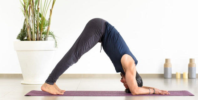 Dolphin Pose (Ardha Pincha Mayurasana)