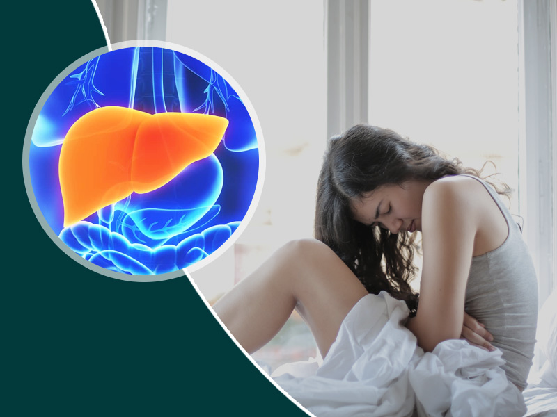 Bile Salts: Know Various Functions And Benefits On Digestive Health