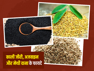 काली जीरी, अजवाइन और मेथी दाना का मिश्रण दूर करता है कई बीमारियां, जानें इसके 5 फायदे और खाने का तरीका