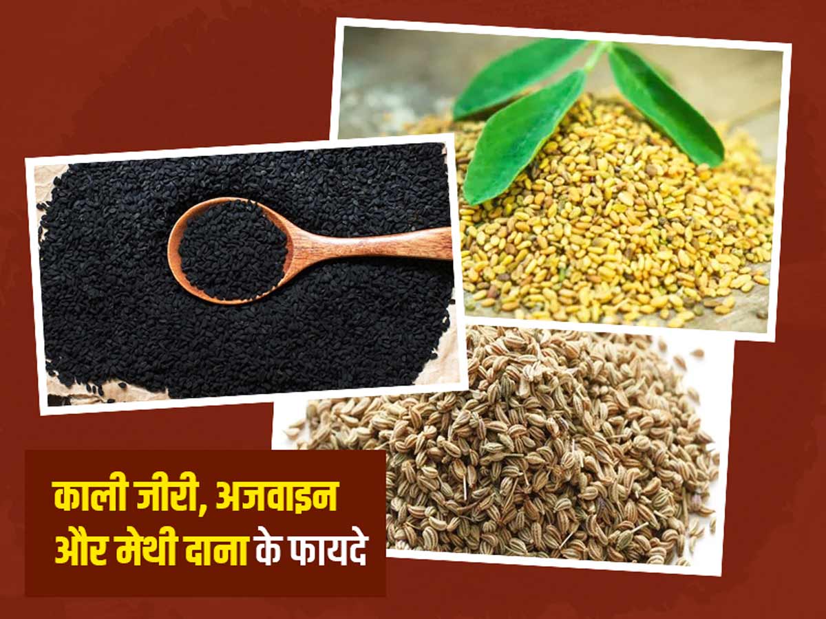 Methi Ajwain Kala Jeera Benefits For Weight Loss In Hindi Blog Dandk