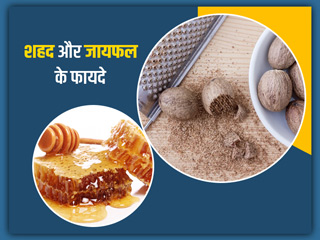 शहद और जायफल का मिश्रण दूर करता है ये 5 समस्याएं, आयुर्वेदाचार्य से जानें इस्तेमाल का तरीका