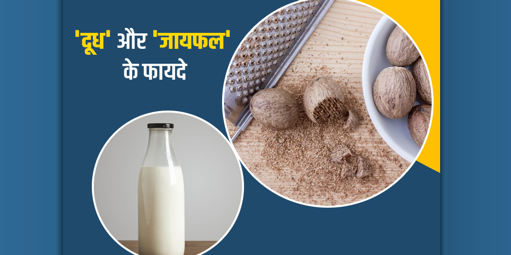 Nutmeg and milk benefits in hindi। दूध और जायफल के फायदे Onlymyhealth