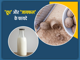 दूध में जायफल मिलाकर पीने से सेहत को मिलते हैं ये 5 फायदे, जानें किस समय पीना है ज्यादा फायदेमंद