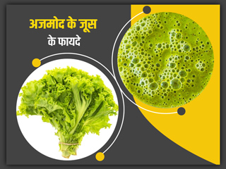 अजमोद (सेलरी) का जूस पीने से सेहत को मिलते हैं ये 5 फायदे, जानें कुछ सावधानियां और नुकसान