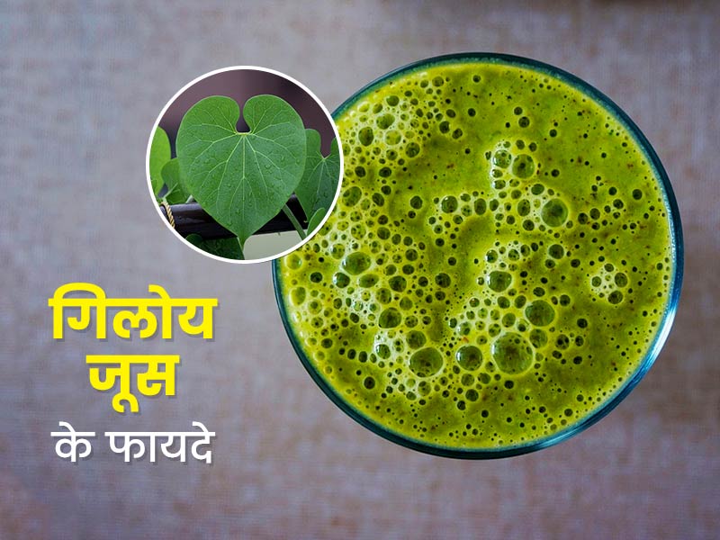 5 giloy juice benefits side effects in hindi OnlyMyHealth