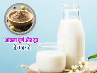 क्या दूध के साथ आंवला चूर्ण लेना है फायदेमंद? एक्सपर्ट से जानें इसके बारे में