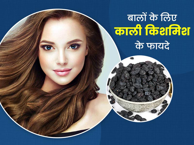 बालों के लिए काली किशमिश: सफेद बालों को काला करने के लिए इस तरह खाएं काली किशमिश, मजबूत भी होंगे बाल