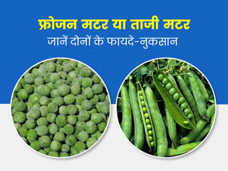 क्या फ्रोजन मटर ताजी मटर के मुकाबले अनहेल्दी होती है? एक्सपर्ट से जानें दोनों के फायदे-नुकसान