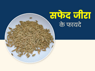 सफेद जीरा किस काम आता है? जानें इसके फायदे और इस्तेमाल का तरीका