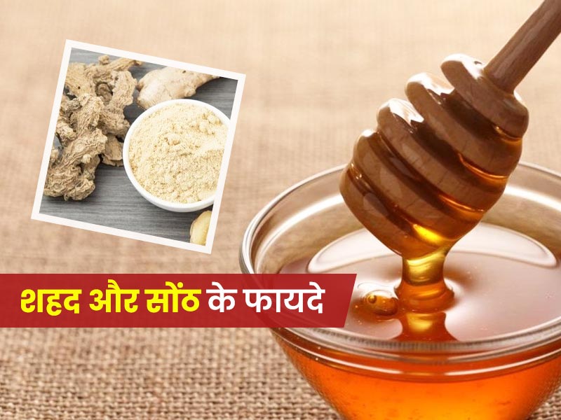 शहद और सोंठ के फायदे: शहद में सोंठ मिलाकर खाने से दूर होती हैं ये 6 समस्याएं, जानें क्यों खास है ये मिश्रण