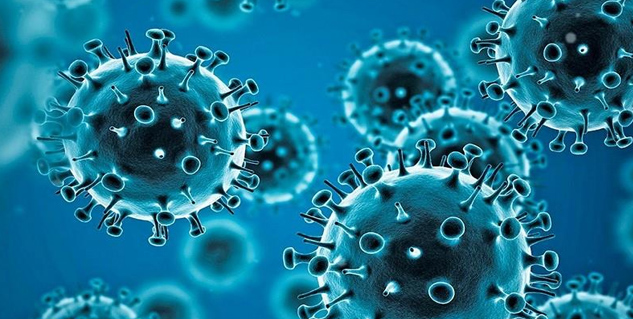 coronavirus
