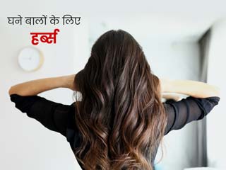 बालों को घना बनाने के लिए क्या खाना चाहिए? जानें 5 हर्ब्स जिनके सेवन से बाल घने हो सकते हैं