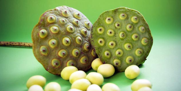 Lotus-Seeds-Health-Benefits