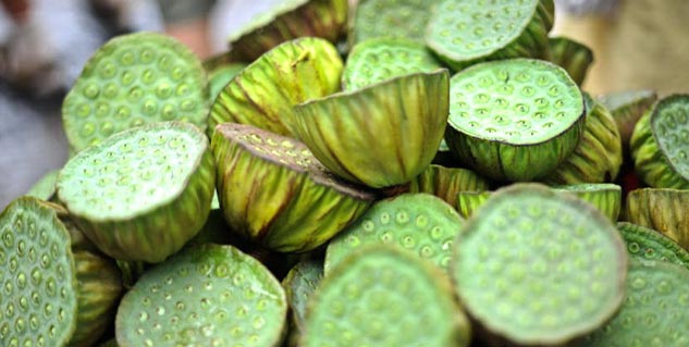 Lotus-Seeds-Health-Benefits