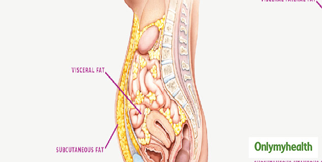 inside2visceralfat
