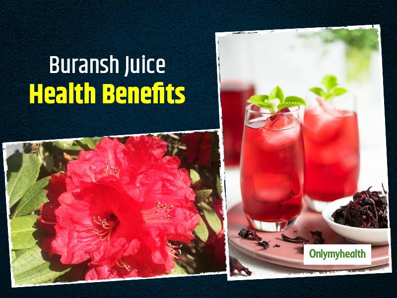 Buransh Juice: Health And Medicinal Benefits Of Consuming This Himalayan Flower  Drink