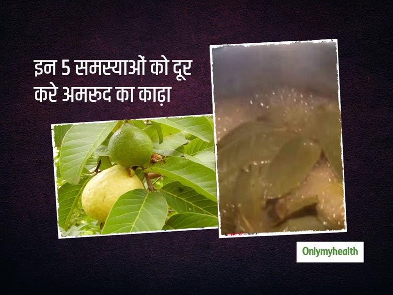 अमरूद की पत्तियों से घर पर बनाएं काढ़ा, स्किन से लेकर पेट की परेशानी होगी दूर
