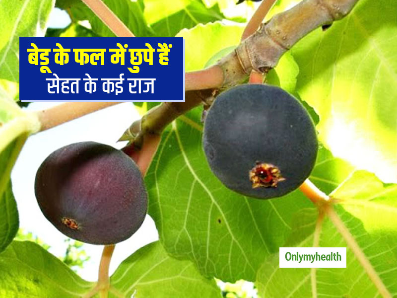 पहाड़ी फल 'बेडू' में होते हैं कई बेहतरीन औषधीय गुण, जानें इस फल को खाने से मिलने वाले 8 स्वास्थ्य लाभ
