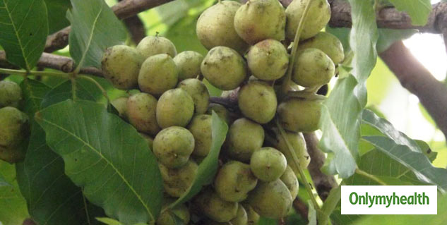 inside3_kusumfruit