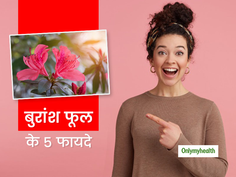 आयुर्वेदिक गुणों से भरपूर होता है पहाड़ी फूल 'बुरांश', इन 5 समस्याओं को दूर करने में कर सकते हैं इस्तेमाल