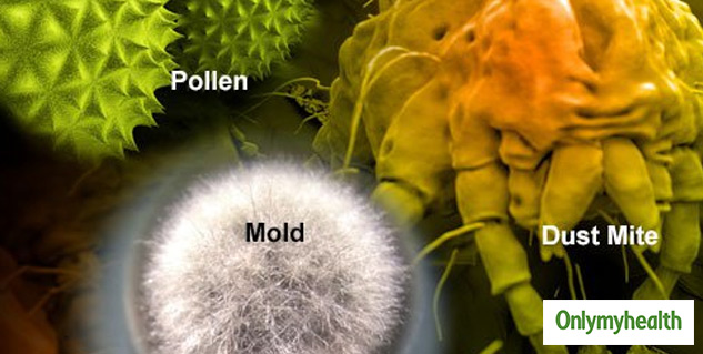 pet allergy signs and symptoms