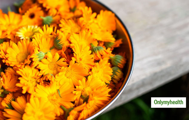 marigold flower removes mosquito