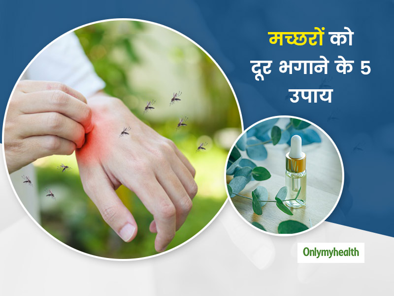मच्छरों से हो सकती हैं कई बीमारियां, एक्सपर्ट से जानें 5 उपाय जिससे आपके आसपास नहीं आएंगे मच्छर 